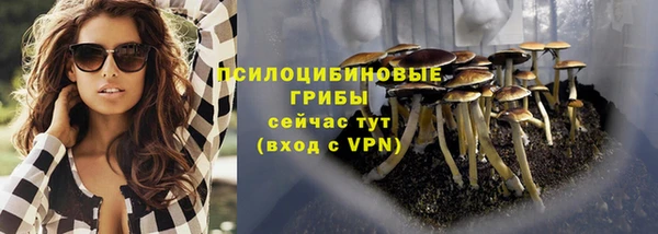 прущая мука Покачи