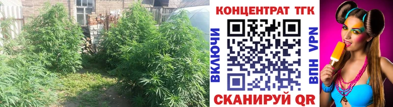 Дистиллят ТГК жижа Истра